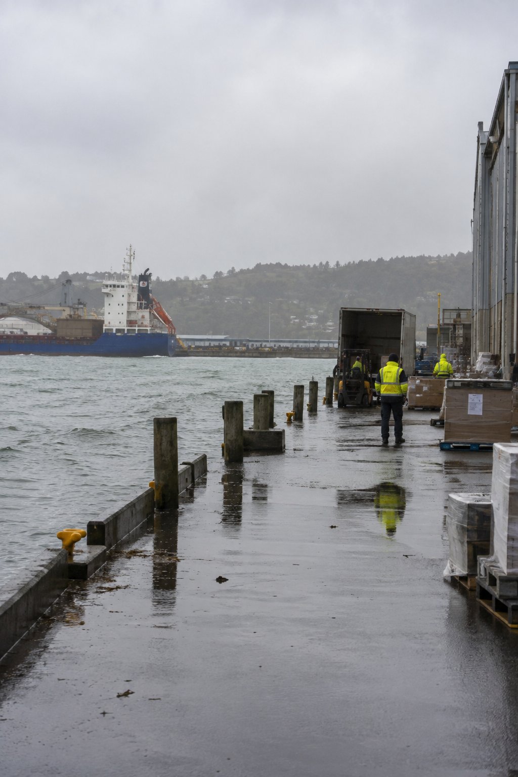 A port worker stands in the rain on the quay, a cargo ship at anchor in the background